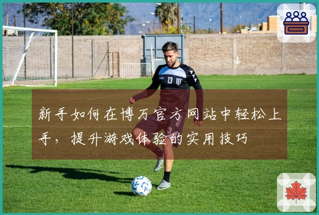 新手如何在博万官方网站中轻松上手，提升游戏体验的实用技巧